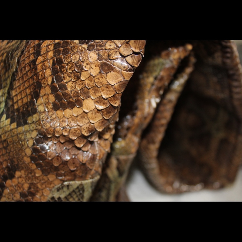 Alexandre Birman real snakeskin boots - Picture 4 of 12